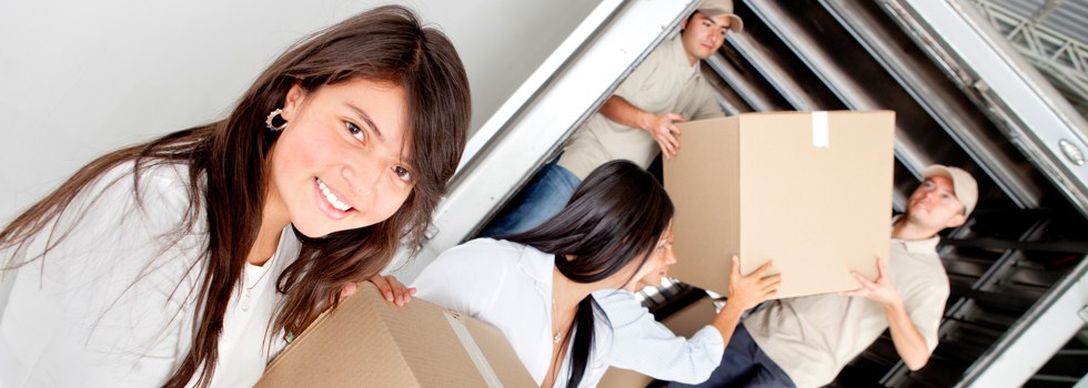 Professional Removalists Seaview Downs